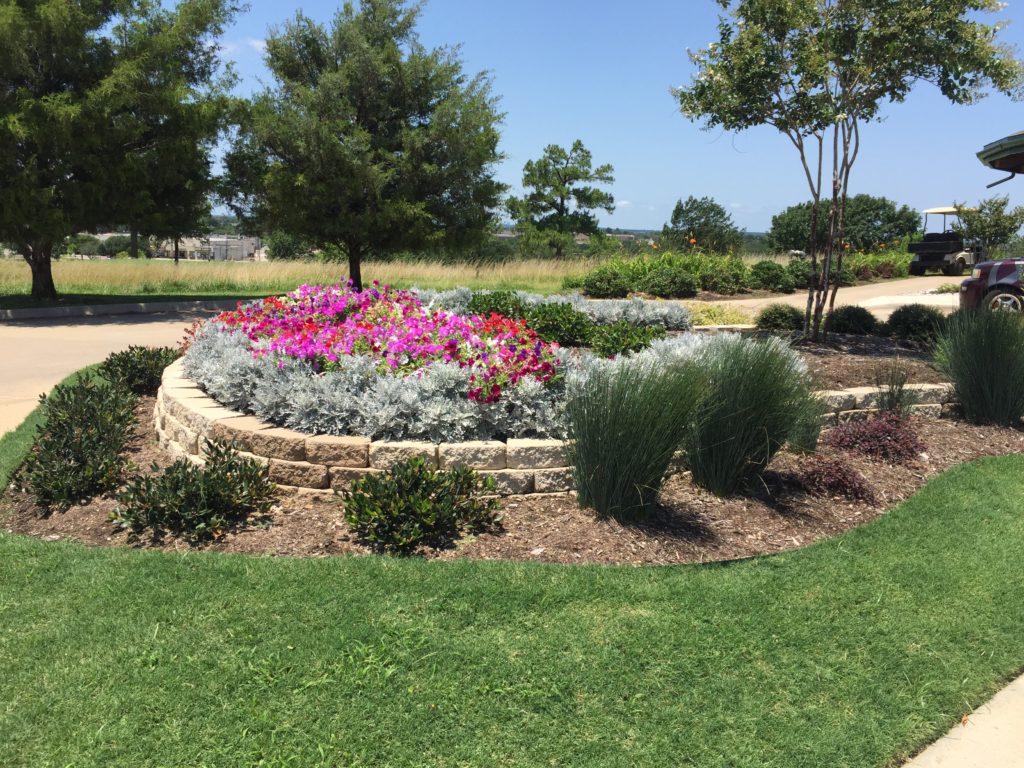 IMG_3793 Southwest Nursery Wholesale Landscaping Supplies Dallas